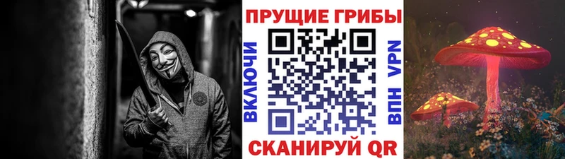 Псилоцибиновые грибы GOLDEN TEACHER  Купить  Фурманов 
